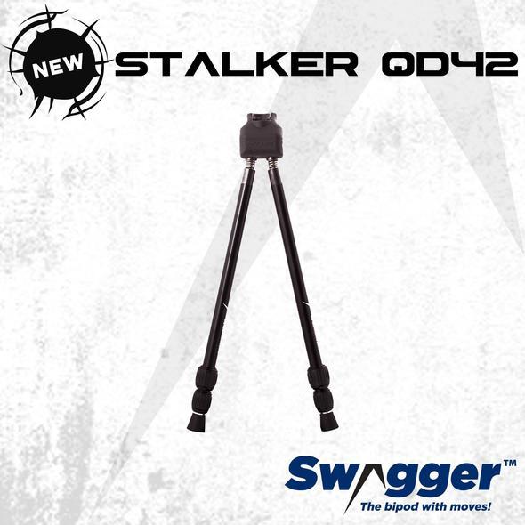 Swagger Stalker QD42
